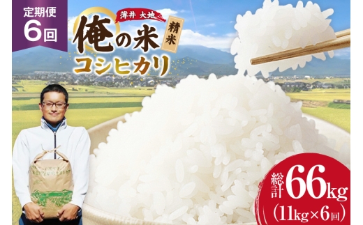 【俺の米】 米 定期便 6回 令和8年 コシヒカリ 精米 11kg 計 66kg [薄井 大地 長野県 池田町 48110940] お米 おこめ こめ コメ 白米 ご飯 ごはん 定期 6ヶ月  おにぎり こしひかり 美味しい もっちり 甘い 農家 直送 10キロ 60キロ 以上 令和8年産 先行予約 新米