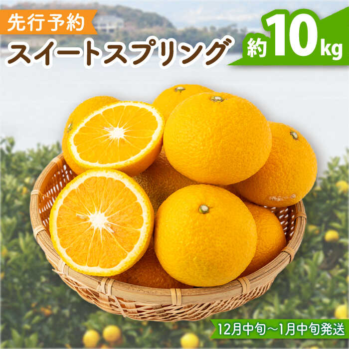 【ふるさと納税】【先行予約】爽やかな甘い香り スイートスプリング 長崎県産 約10kg【田崎FARM】[OCU001] / 12月中旬以降 順次発送！爽やか 上品な香り 柑橘 お取り寄せ 国産 みかん 柑橘 長崎 希少 萌黄色 かんきつ 果物 フルーツ くだもの 希少 珍しい さっぱり みかん