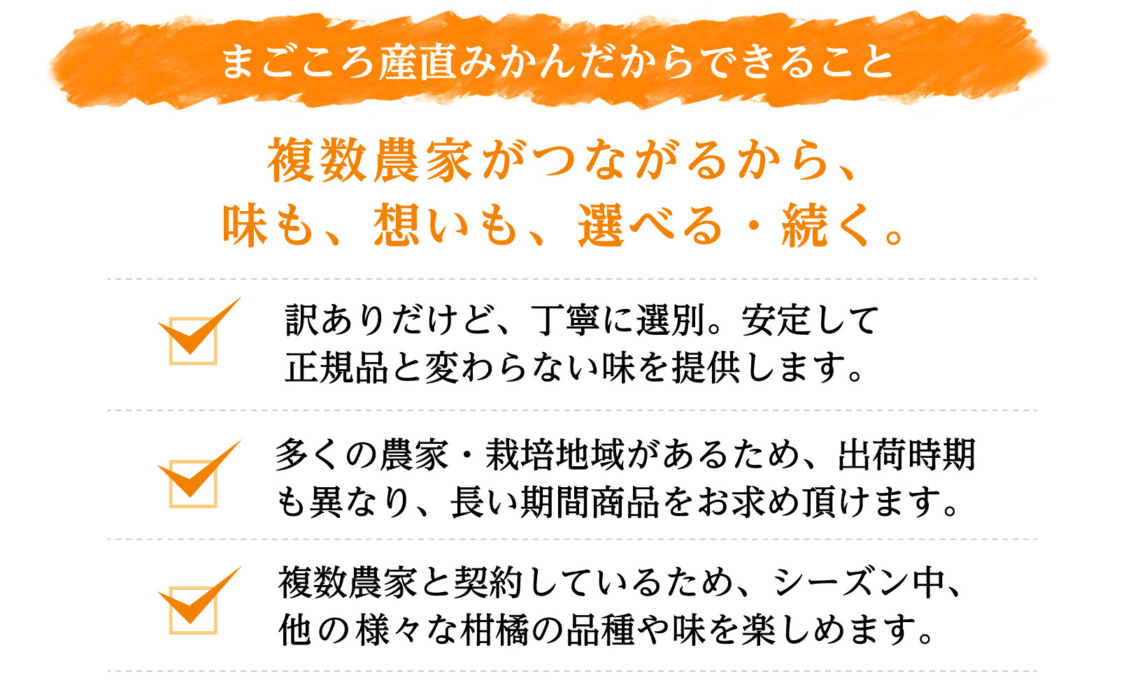 みかん 極早生みかん 訳あり 6.5kg 大小混合 まごころ産直みかん【2026年10月中旬頃から11月中旬頃まで順次発送予定】温州みかん 和歌山みかん 下津みかん 訳有り わけあり 和歌山県産 産地