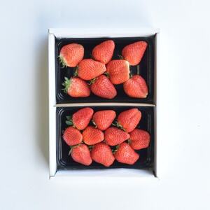 【発送月固定定期便】山梨市産　旬のフルーツ定期便全4回【配送不可地域：離島・沖縄県】【4074306】