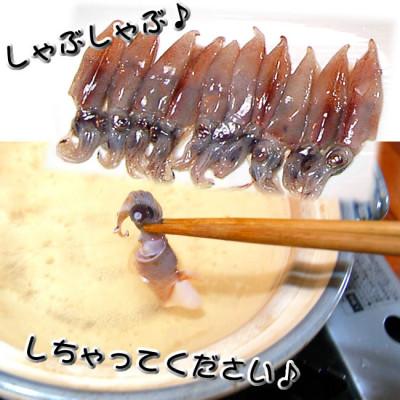 ふるさと納税 新温泉町 旬凍結ホタルイカ　小分け約250g×5パック【3D凍結】兵庫県浜坂産　生食可　お刺身　しゃぶしゃぶに |  | 02