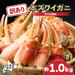 訳あり ズワイガニ 爪 1kg 冷凍 ボイル　ずわいがに ずわい蟹 カニ かに 蟹 しゃぶしゃぶ カニしゃぶ  サイズ違い 不揃い 規格外 