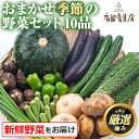 【ふるさと納税】自慢の農家×老舗青果店の新鮮でおいしい野菜・おまかせ便(10品) 野菜 セット 詰め合わせ 詰合せ 旬 お野菜【有留青果】【0123608a】