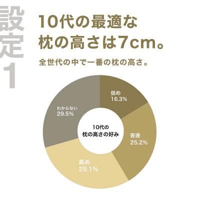 ふるさと納税 我孫子市 10代向けの枕 THE PILLOW Preset 16 10s |  | 01