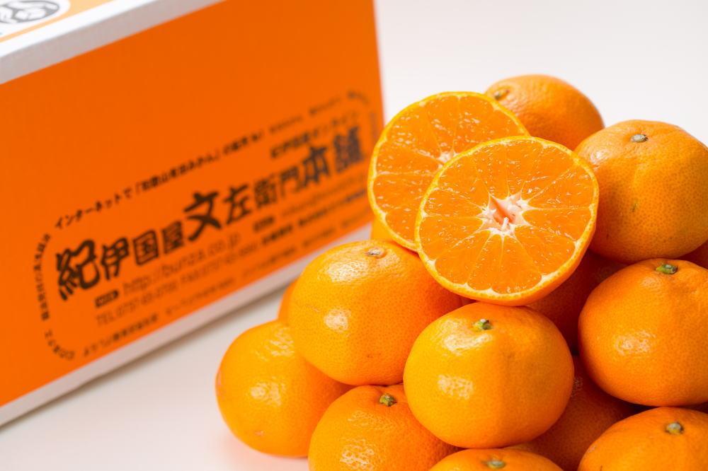 ブランド有田みかん【Ｍサイズ】秀品 10kg／産地直送／薄皮で甘い美味しい和歌山県産／紀伊国屋文左衛門本舗　EH006_イメージ3