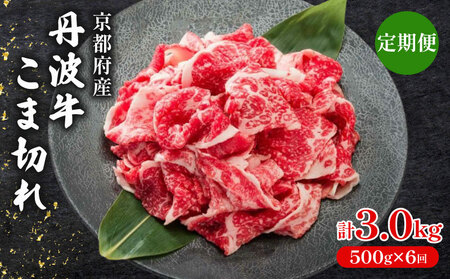 【 6ヶ月 定期便 】 丹波牛こま切れ 500g × 6回 3.0kg 牛肉こま切れ 牛肉細切れ 牛肉小間切れ 牛肉おすすめ 牛肉黒毛和牛