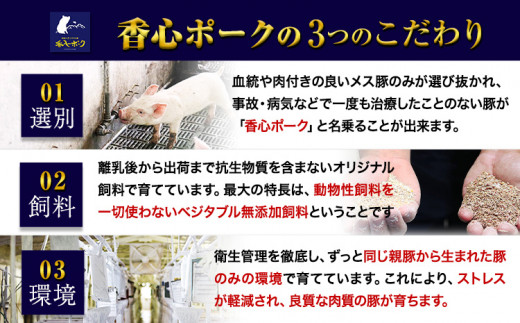 香心ポーク 肉肉セット 約2.8kg以上 コーシン《30日以内に出荷予定(土日祝除く)》 熊本  豚肉 豚 もも肉 モモ肉 ---so_fksnnknk_30d_23_42000_2800g---