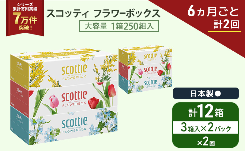 定期便 ティッシュ スコッティ フラワーボックス 3箱 × 2 パック《 6ヶ月ごと計 2回 》ティッシュセット
