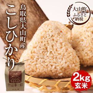 MS-105 大山町産こしひかり【大山の一粒】２ｋｇ（玄米）