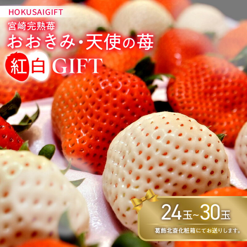 【ふるさと納税】 《2026年発送》【数量・期間限定】HOKUSAIGIFT宮崎完熟苺おおきみ・天使の苺紅白 いちご 白いちご 果物 フルーツ スイーツ デザート 化粧箱 化粧箱入り 贈答 贈り物 贈答用 ギフト プレゼント おすそ分け グルメ お取り寄せ 人気 おすすめ 宮崎市