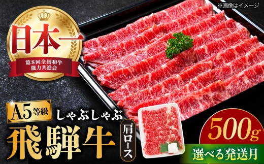 【6月発送】【飛騨牛 しゃぶしゃぶ用】 A5等級 ロース / 肩ロース 500g 和牛 ブランド牛 国産 牛肉 多治見市 / 渡辺精肉店 [TAZ007-6]