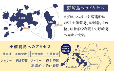 野崎島・トンギ山トレッキング(2名様) トレッキング 山登り おふたり 2名 ペア 世界遺産 体験 長崎県 五島列島 町 野崎島 [DAJ014]