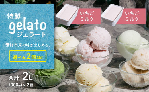 選べる特製ジェラート 1L x 2個 [いちごミルク] [いちごミルク] 【 アイス ジェラート アイスクリーム デザート スイーツ 組み合わせ自由 業務用 バルク 】