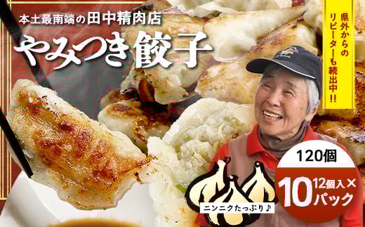 
            佐多の田中肉屋ニンニクたっぷりやみつき餃子 120個（12個入り×10パック） 餃子のタレ付き | ギョウザ にんにく スタミナ餃子 大容量 手作り おかず ビールと一緒に 冷凍 産地直送 鹿児島県 南大隅町 田中精肉店 AN7402
          