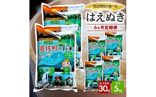 1244T12　【定期便】遊佐産はえぬき5kg×6ヶ月連続（12月～5月）