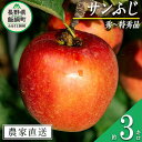 【ふるさと納税】 りんご サンふじ 秀 ～ 特秀 3kg 永野農園 沖縄県への配送不可 令和6年度収穫分 長野県 飯綱町 〔 信州 果物 フルーツ リンゴ 林檎 長野 予約 農家直送 15000円 〕発送時期：2024年12月上旬～2025年2月上旬