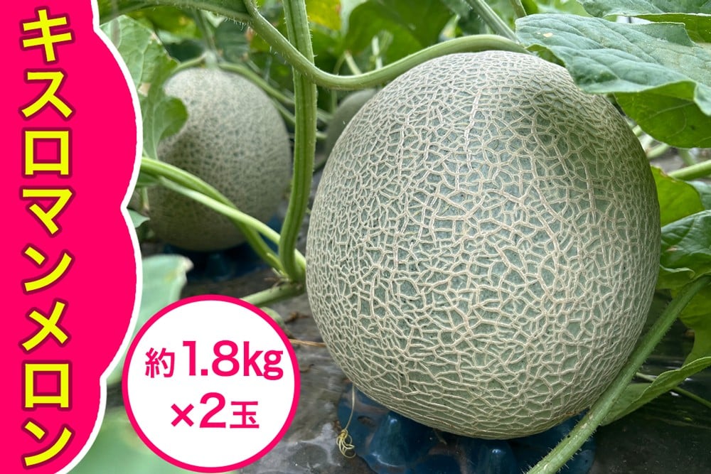 
            キスロマン メロン 約1.8kg×2玉｜2025年 令和7年 青森 津軽 つがる産 キスロマン キスミー めろん キスミーメロン 特産 ジューシー 糖度 フルーツ 果物 ギフト 産直 青肉メロン 夏メロン [0862]
          