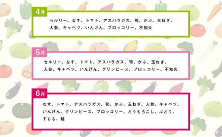 E16 【定期便12回】 季節の 旬野菜 ・ 果物 セット 詰め合わせ