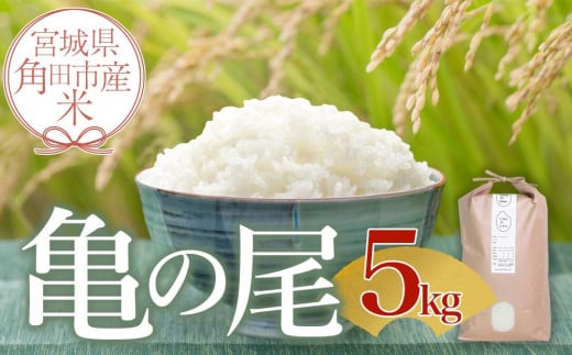 令和6年産 米 亀の尾 5kg お米 白米 こめ ご飯 ごはん おにぎり 国産 お取り寄せ 人気 おすすめ 食品 宮城