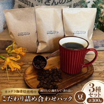 ふるさと納税 高石市 【豆3種合計300g】ネコグラ珈琲焙煎所の煎りたて挽きたて香り高いこだわり3種詰め合わせパック