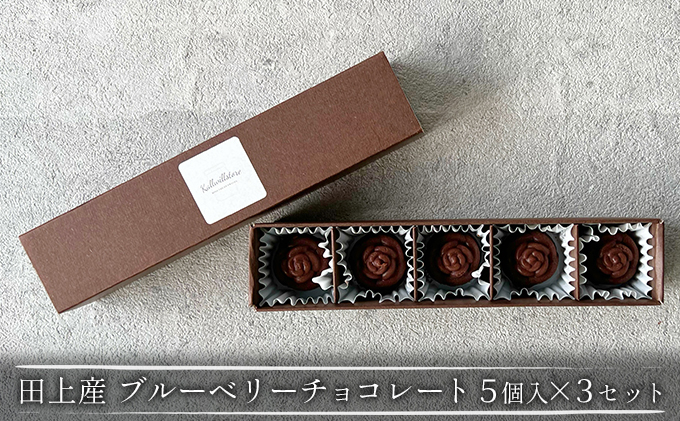 
                  田上産 栽培期間中無農薬ブルーベリーで作るチョコレート 5個入×3セット スイーツ お菓子  [№5882-0218]
                