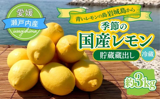 【配送エリア：北海道・沖縄】青いレモンの島 貯蔵蔵出し国産レモン約3kg 冷蔵でお届け 国産 レモン 国産レモン イエロー レモン