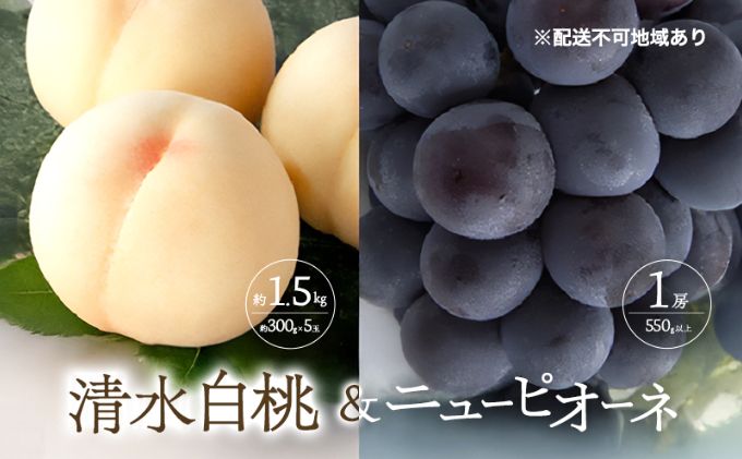 桃 ぶどう 2026年 先行予約 清水 白桃 5玉 約1.5kg 1玉約300g ニュー ピオーネ 1房 550g以上もも 葡萄 詰合せ 岡山 国産 フルーツ 果物 ギフト 桃茂実苑