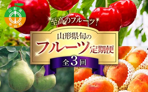 令和8年6月発送開始 山形県 至高のフルーツ！ 山形県旬のフルーツ定期便 全3回 紅秀峰 白桃 ラフランス 期間限定 数量限定 山形県産 サクランボ 桃 梨 フルーツ 果物 くだもの 贈答 F4A-0