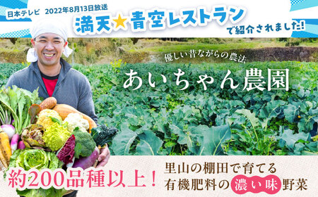 【16品】農薬に頼らない！カラダにやさしい「よしのがり野菜」セット（ラージ）吉野ヶ里町/吉野ヶ里あいちゃん農園 [FAA009]