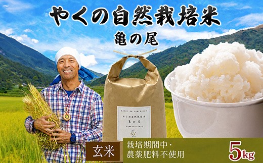 ＜令和8年産・先行予約＞やくの自然栽培米 亀の尾 (玄米・5kg) 【fc-EV004-C】【ゆたか（ゆたか自然農園）】