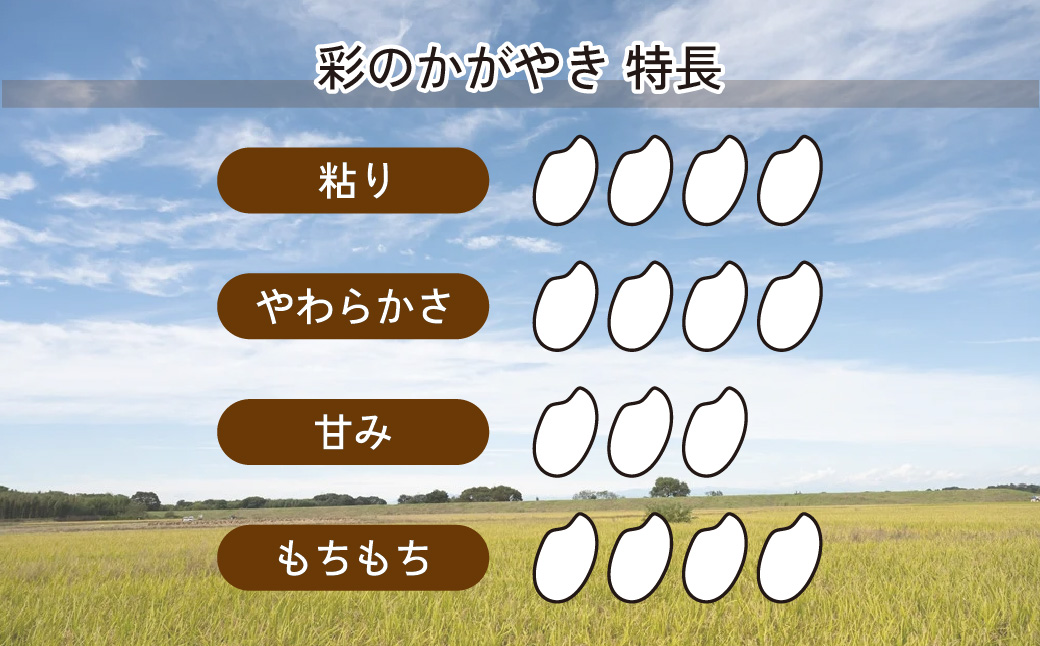 【令和6年産米】埼玉県産 彩のかがやき 10kg (5kg×2袋)