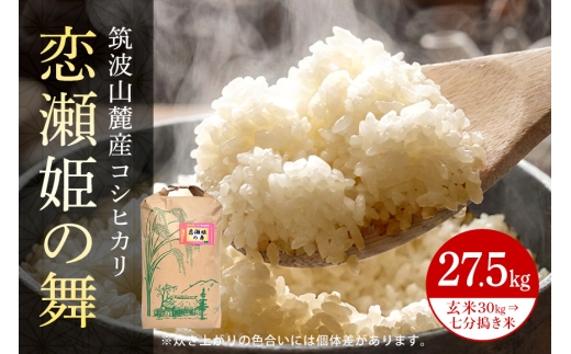 【玄米30kg⇒七分搗き米】筑波山麓厳選米【特A】令和7年産コシヒカリ（恋瀬姫の舞） B07-031