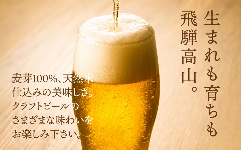 飛騨高山麦酒 バラエティー缶12本詰め合わせ ビール お酒 飛騨高山 クラフトビール 地ビール 飛騨高山 プレミアム 家飲み おうち時間 ピルスナー ヴァイツェン ダークエール 父の日 酒 セット 贈