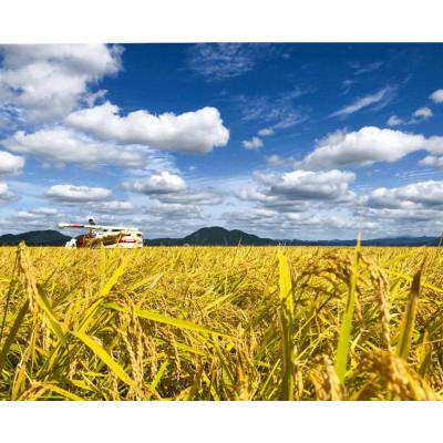 ふるさと納税 小山市 令和7年産 とちぎの星 玄米 30kg |  | 01