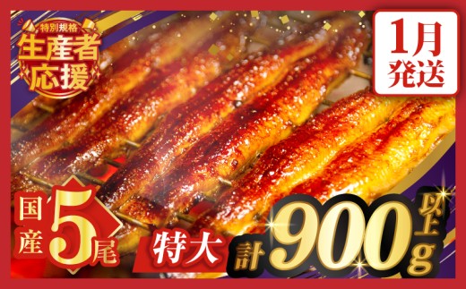 【令和8年1月発送】【数量・期間限定 特別規格】うなぎ蒲焼5尾(さんしょう・たれ付き)計900g以上 鰻 魚 魚介 加工品 国産_T026-0032-ZO-01