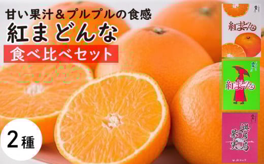 【11月下旬から発送】  紅まどんな（食べ比べ）セット （ 紅まどんな 柑橘 フルーツ まどんな みかん 愛媛 みかん 紅まどんな 蜜柑 紅まどんな ）