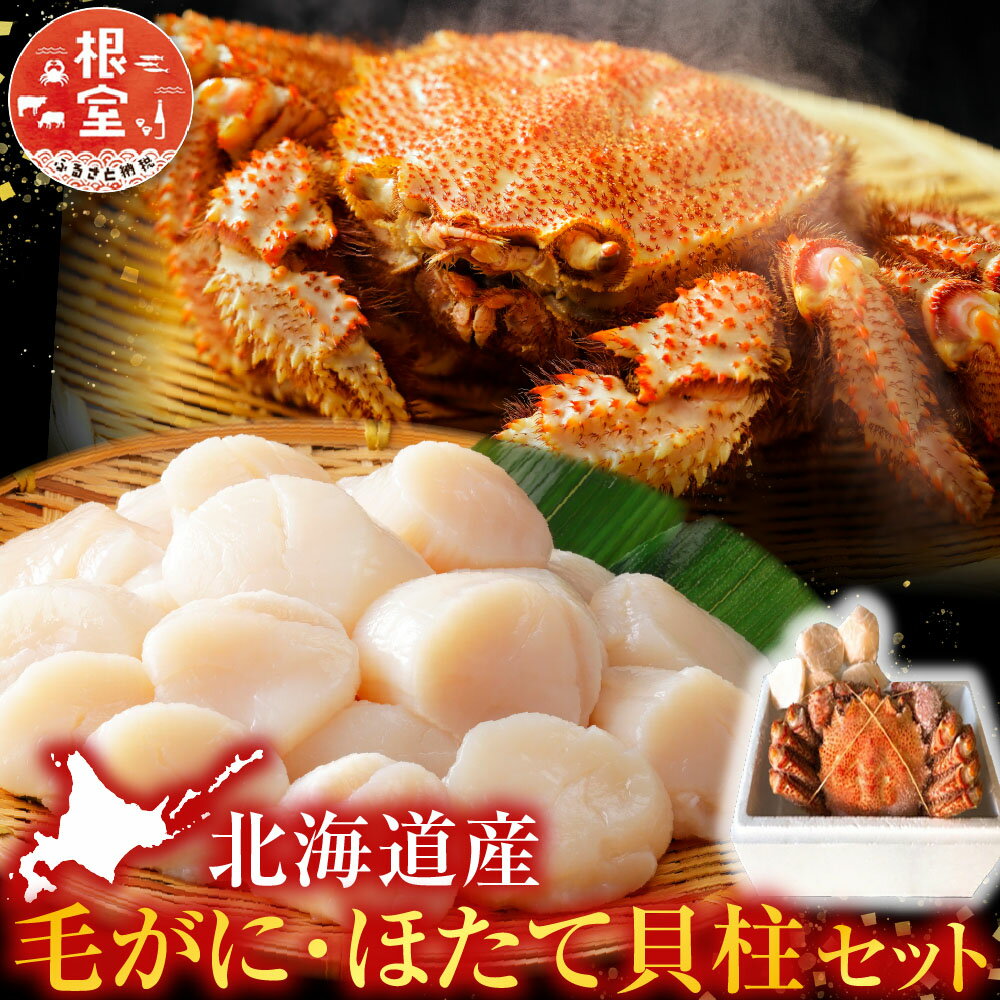 【ふるさと納税】 毛かに・ほたて貝柱セット ホタテ ほたて 帆立 帆立貝柱 ホタテ貝柱 貝柱 毛がに 毛蟹 けがに ケガニ かに カニ 蟹 お取り寄せ グルメ 海鮮 北海道 根室市 ふるさと納税 C-36043