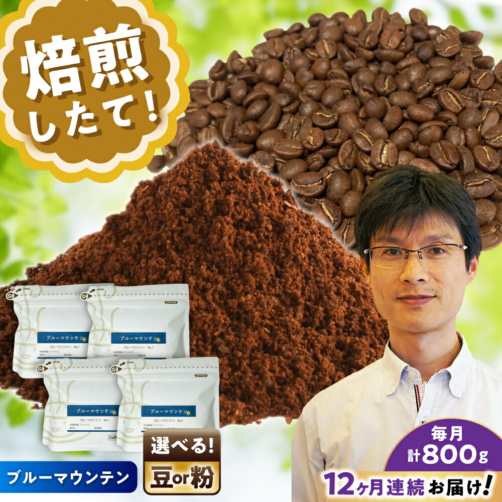 【ふるさと納税】【全12回定期便】[選べる豆 or 粉] ブルーマウンテンNo.1　200g×4個 / 珈琲 コーヒー / 瀬戸市 / Coffee　SAKURA[BBAB097]