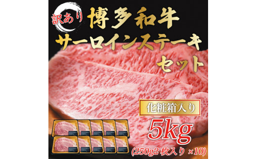 
訳あり！博多和牛サーロインステーキセット 5kg(250g２枚入り×10ｐ) [a0447] 株式会社Meat Plus ※配送不可：離島【返礼品】添田町 ふるさと納税
