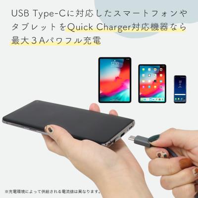 ふるさと納税 海老名市 シリコンケーブル A to C 1m エアリーホワイト(MOT-SCBACG100-WH) |  | 03