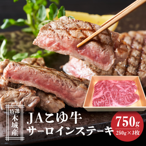 JAこゆ牛（特選木城産）サーロイン750ｇ K56_0001