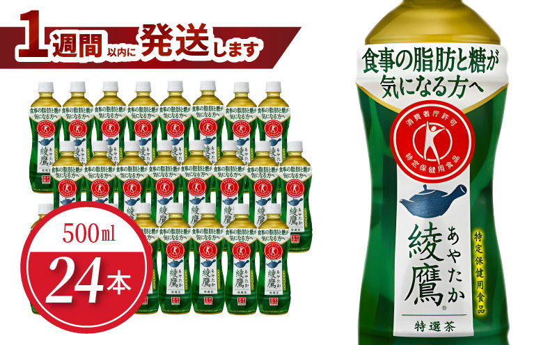 
綾鷹 特選茶 PET 500ml（24本入）
