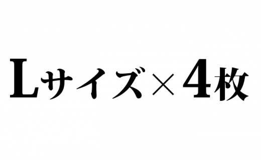遠州織物ジャカード織　柿渋染めお洒落マスク 4枚セット（L×4） [№5786-8493]3555