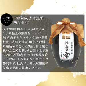 P-109 十年熟成 玄米黒酢 桷志田宝セット合計2L【福山黒酢】