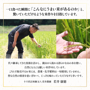 令和5年産 十六代目米師又八 謹製 夢ごこち 1.8kg  ( 米 夢ごこち 精米 夢ごこち 白米 夢ごこち 令和5年産 夢ごこち  産地直送 夢ごこち 農家直送 夢ごこち 国産 夢ごこち 特別栽培米