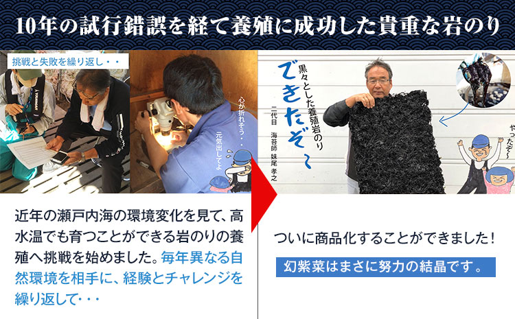 養殖岩海苔種 幻紫菜 2袋セット 株式会社せのお水産《45日以内に出荷予定(土日祝除く)》岡山県 笠岡市 海苔 焼きばらのり のり パック入り---S-15---