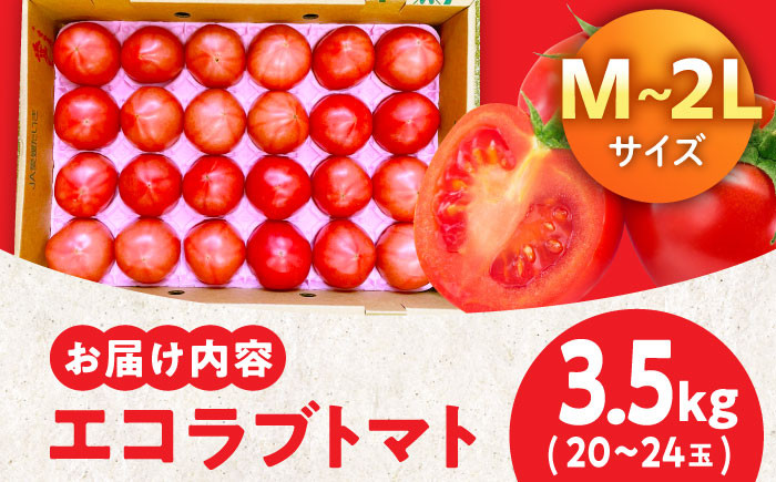 エコラブトマトM〜2Lサイズ（20〜24玉）約3.5kg