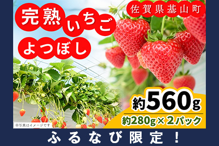 【ふるなび限定】【農場直送いちご】よつぼし(約280g×2P) K100011 FN-Limited-PR
