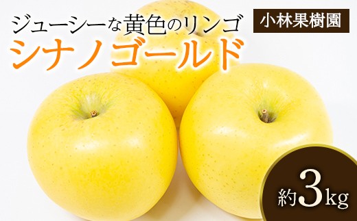 
                  【小林果樹園】 福島県伊達市産 黄色いりんご シナノゴールド 約3kg F21C-536
                
