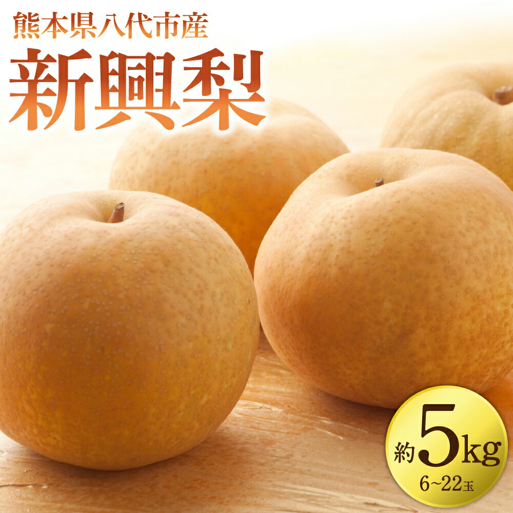 【ふるさと納税】 【先行予約】 新興梨 約5kg (6～22玉) 梨 なし ナシ フルーツ くだもの 果物 旬 熊本県 八代市 送料無料 【2026年10月上旬より順次発送】